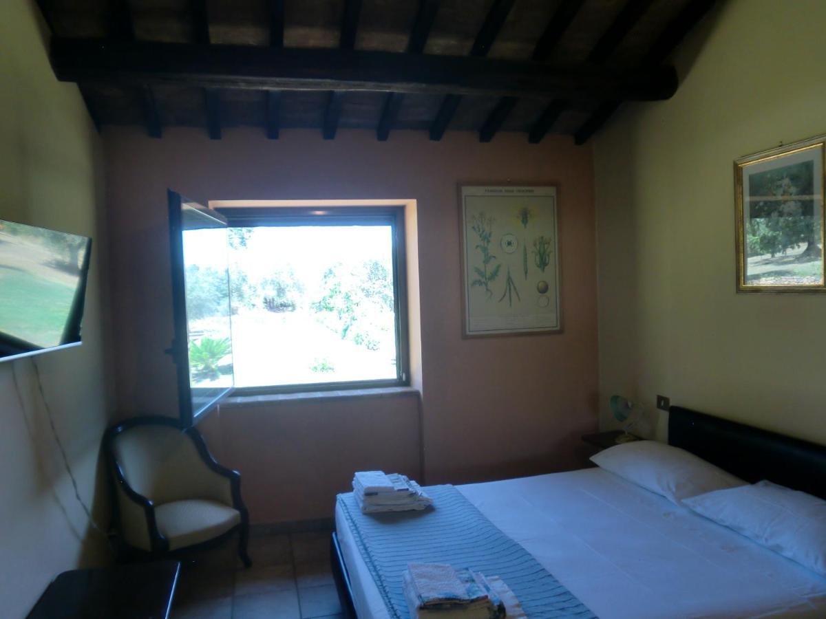 I Massi Bed & Breakfast San Michele in Teverina Dış mekan fotoğraf