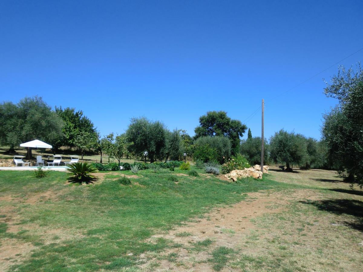 I Massi Bed & Breakfast San Michele in Teverina Dış mekan fotoğraf