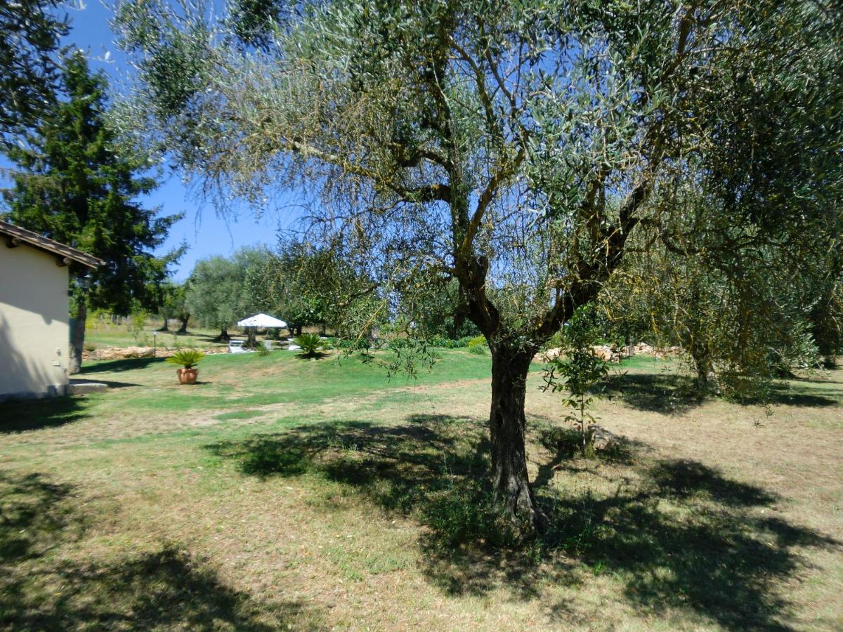 I Massi Bed & Breakfast San Michele in Teverina Dış mekan fotoğraf