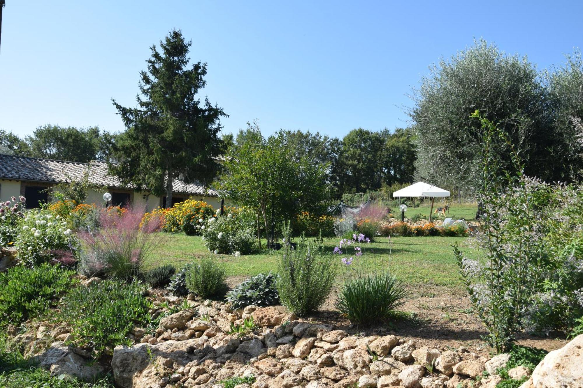 I Massi Bed & Breakfast San Michele in Teverina Dış mekan fotoğraf