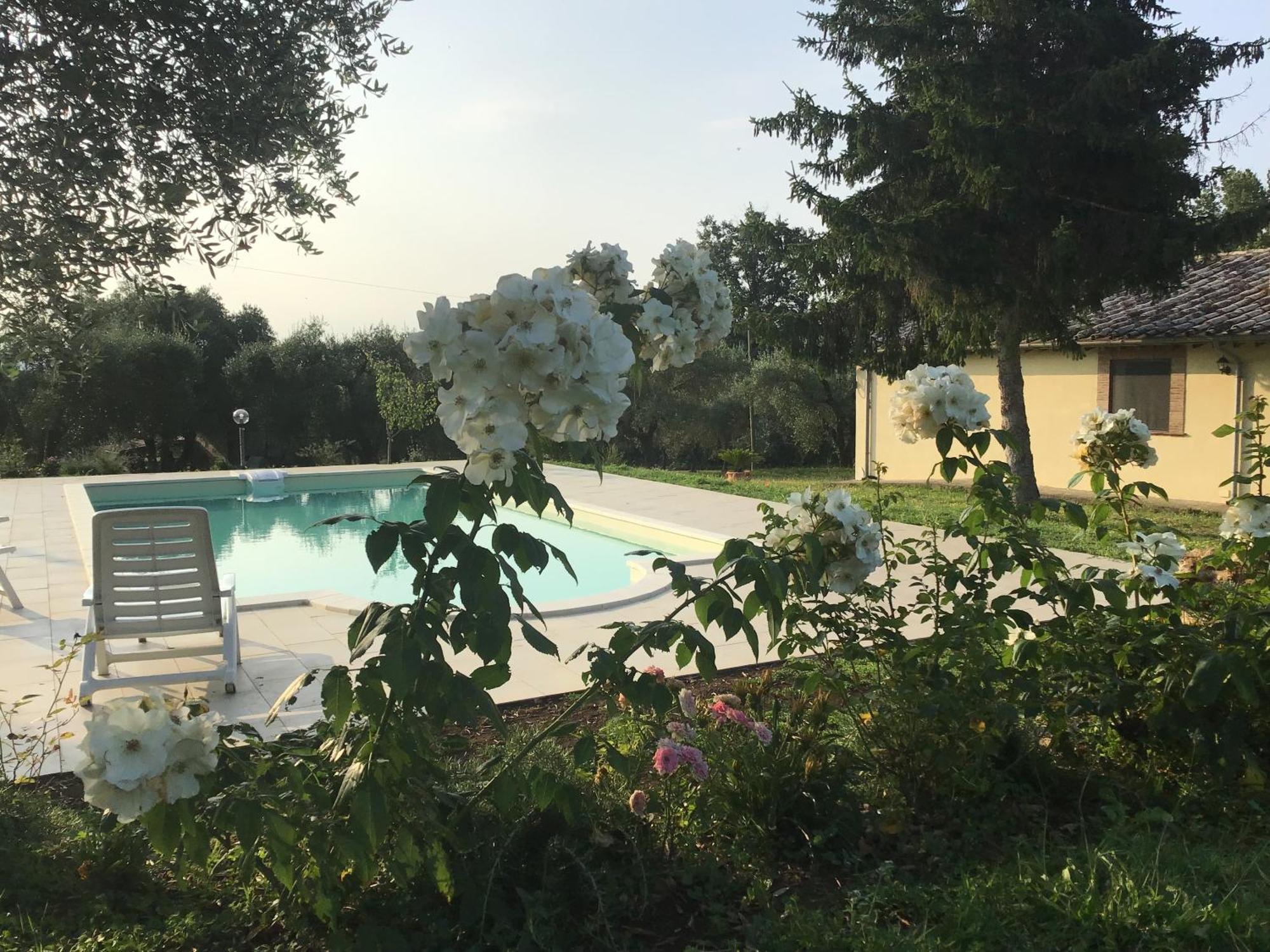 I Massi Bed & Breakfast San Michele in Teverina Dış mekan fotoğraf